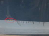 фото thumb №6, Двері ліва задні audi a4 8k9 08r