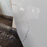 фото thumb №4, Citroen c3 iii дверь левый перед ewpb