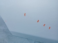 фото thumb №11, Двері лівий перед bmw 5 e60 e61 titansilber 354