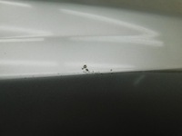 фото thumb №13, Крила правий перед - chrysler / lancia voyager v 08-16