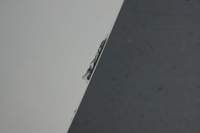 фото thumb №12, Дверь левый задняя opel corsa e z40r