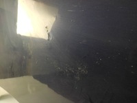 фото thumb №8, Audi a8 d5 4n 4n0 капот крышка двигателя перед 2017-