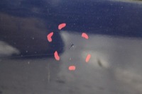 фото thumb №7, Двері лівий перед передні seat exeo sedan kol. lw5u 08-13