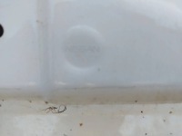 фото thumb №16, Nissan qashqai j12 2021-2024 дверь перед передние левая