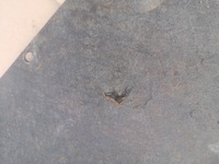 фото thumb №5, Шумоізоляція капот + кліпси mazda 3 i bk 06-09 lift 5d hb