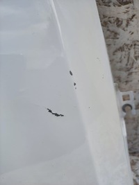 фото thumb №9, Крыло передний перед левый ford s-max mk2 15-