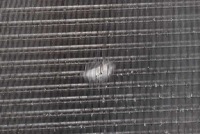 Радиатор воды 214100014r renault megane scenic 3 3 1.6 16v 110 km 09-12 в Украине, фото thumb