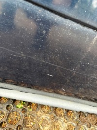 фото thumb №10, Правая дверь перед передние volvo s60