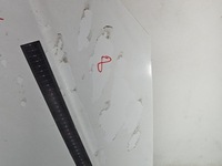 фото thumb №11, Капот передняя fiat doblo i lift 05-10 белый