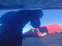 фото thumb №8, Капот крышка двигателя nissan qashqai j10 bw9g