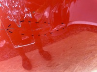 фото thumb №6, Капот opel corsa f кришка двигуна