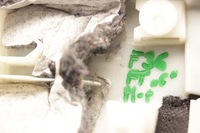 фото thumb №7, Bmw f36 захист обшивка стійка c m-pakiet правий задня 8059306