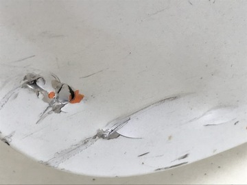 фото thumb №10, Кришка зад tesla модель s 1025414-01-c