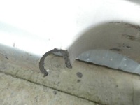 Lexus gs300 ii бампер задній задня задня в Україні, фото thumb