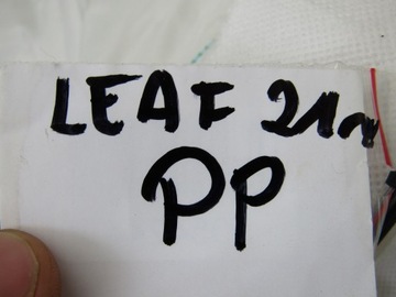 фото thumb №9, Leaf ii 21r подушка подушка безпеки права w сидіння пасажира правий 0589-p1-000717
