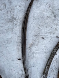 фото thumb №1, Iveco daily 00-12 рессора задний двойник parabola