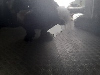 фото thumb №3, Двері лівий перед honda accord vii nh658p