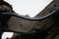 фото thumb №10, Kia ceed i ed 2008r 2.0crdi права поворотний кулак амортизатор датчик 517162h100