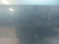 фото thumb №6, Двері правий задня nissan primera p12 by4g