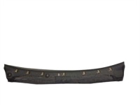 Купити Жабо renault megane 3, фото thumb