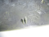 фото thumb №12, Защита заглушка зеркало volvo fh