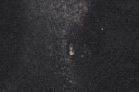 фото thumb №6, Volkswagen golf vi шумоизоляция подкрылок капот 5k0863831