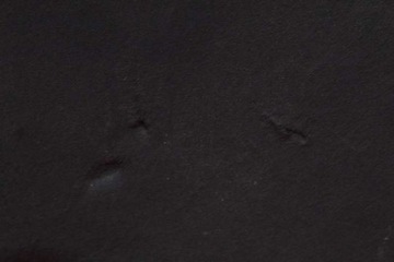 фото thumb №8, Шумоізоляція підкладка килимок капота jx7b-a16746-a ford focus mk4 1.0 ecoboost