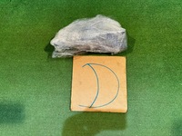 фото thumb №11, Bmw 4 f32 петля капота правые левый комплект 7239416 7239415