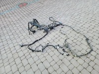 Купити Електропроводка відсік двигуна 1.5d 4x4 proace berlingo combo e rifter 21970878, фото thumb