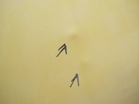 фото thumb №12, Ford transit connect i 1 pt2 mk1 02- двері праве зсувні saffron yello