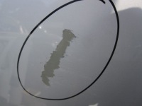 фото thumb №5, Lexus is ii 08r капот