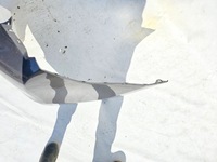 фото thumb №7, Бампер toyota corolla e16 13- задняя задний