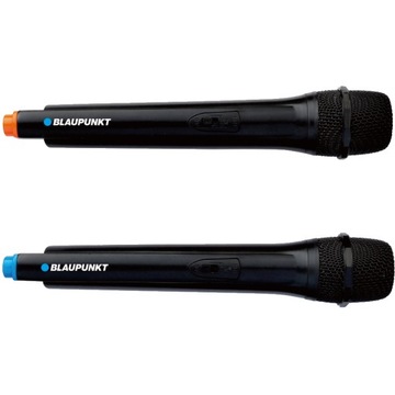 BLAUPUNKT PS10DB Bluetooth КАРАОКЕ Активная колонка
