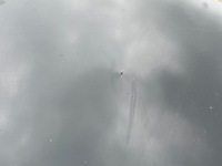 фото thumb №7, Audi q3 8u дверь ly9b задние правое задняя правый