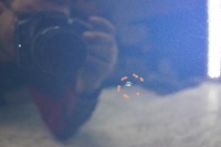 фото thumb №9, Дверь правый перед bmw x3 e83 a07