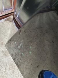 фото thumb №13, Skoda superb iii 3v0 капот перед