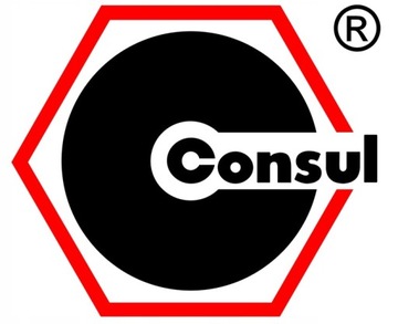 CONSUL 2.30 ДВУХКОЛОННЫЙ ПОДЪЕМНИК НА РАМЕ
