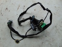 фото thumb №1, Электропроводка жгут дверь левый задняя citroen ds4