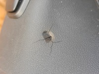 Руль mercedes w1156 x156 gla a0014609503 Недорого, фото thumb