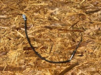 фото thumb №1, Датчик температуры выхлопных газов 226400956r master iii