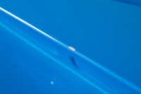 фото thumb №10, Bmw 2 f44 gc крышка багажника багажника задняя задняя цвет c1d misano blau