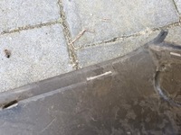 фото thumb №3, Audi a6 c7 захист ременя верхня оригінал