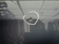 фото thumb №9, Дверь fiat bravo 2 ii 07-14r. левая задние 890/b