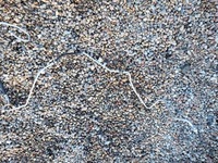 фото thumb №3, Дроти кондиціонера renault clio iv 924405098r