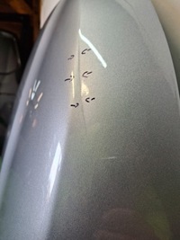 фото thumb №7, Капот renault kangoo iv 4