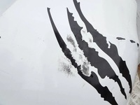 фото thumb №8, Бампер зад kpl. suzuki swift mk7 sport znl 11-17 r.