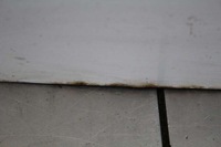 фото thumb №8, Дверь задние правое крыло белый ford transit 5 v 00-06