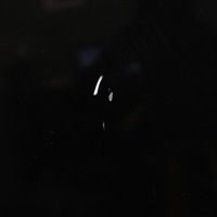 фото thumb №10, Bmw f30 f31 f32 капот крышка двигателя schwarz 2 чёрный - 668