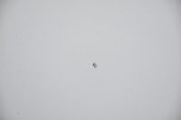 Капот кришка двигуна bmw 1 e87 354/7 Зі Шроту, фото thumb