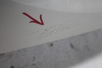 фото thumb №6, Крыло правый перед hyundai i20 kol. wk 08-12